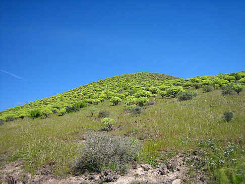 Fotos Landschaft